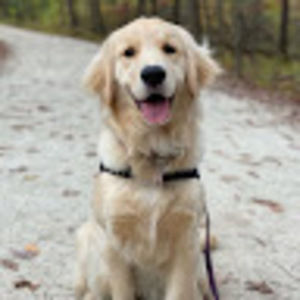 Meet your Posher, Avery